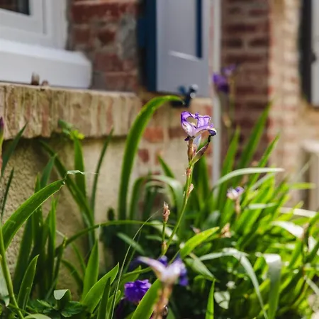 Vakantiehuis Le Chant De La - - Proche
